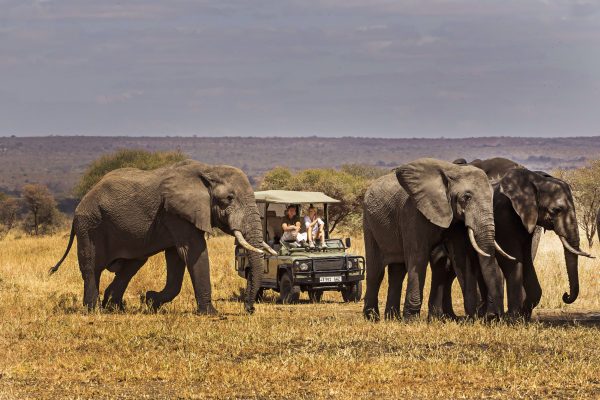 chem_chem_lodge_-_game_drive_in_the_tarangire-e1590085621682